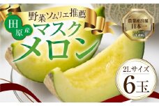 先行予約 数量限定 野菜ソムリエ推薦渥美半島伊良湖潮風育ち厳選マスクメロン6玉(8～9キロ)小分け用ギフト箱1箱付き  田原市 伊良湖産 ギフト プレゼント お取り寄せ 渥美半島 農家直送 送料無料 30000円