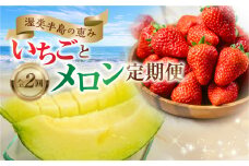 メロン・イチゴ定期便 全2回　めろん いちご 苺 果物 フルーツ 愛知県 田原市   