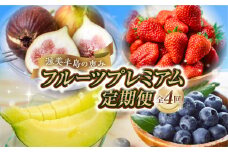 フルーツプレミアム定期便　苺 いちじく ブルーベリー メロン　無花果 めろん 果物 フルーツ 愛知県 田原市