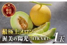 極上メロン 渥美の陽光-HIKARI-　めろん 果物 フルーツ 産地直送 愛知県 田原市