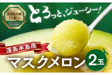 9月中お届け 先行予約 渥美半島産 マルカ農園のマスクメロン 2玉 (1玉1.5kg以上) めろん 箱詰め フルーツ 果物 田原市 産地直送 夏 12000円