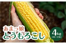 あまっ娘とうもろこし （10本～12本　4.0kg以上）