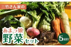 あまっ娘 野菜セット （ライト）5品目 詰合せ 野菜 詰め合わせ