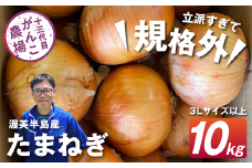 がんこ玉ねぎ　10kg