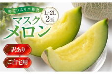 先行予約 訳あり マスクメロン L〜2L 2玉 メロン 野菜ソムリエ推薦 数量限定 渥美半島 伊良湖潮風育ち  田原市 ご自宅用 お取り寄せ 産地直送 送料無料