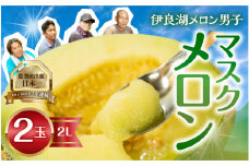 【6月下旬から7月お届け】 伊良湖産 マスクメロン 2玉 2Lサイズ 箱詰め メロン フルーツ 果物 8月 お取り寄せ 渥美半島 田原市 産地直送 