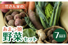 あまっ娘 野菜セット（スタンダード） 7品目詰合せ 詰め合わせ 野菜