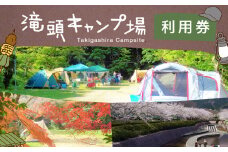 滝頭公園キャンプ場利用券　滝頭公園キャンプ場利用券 キャンプ場 キャンプ アウトドア 薪 デイキャンプ 宿泊 桜 四季 自然 山 散歩 ジョギング 田原市 人気 渥美半島 愛知県