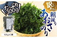 【年内配送】訳あり あおさ 300g 100g×3袋 簡易包装 愛知県 三河湾産 「はじめまして あおさのり です。」あおさ海苔 海苔 味噌汁 みそ汁 具 海藻類 アオサ 訳アリ 大容量 送料無料 国産 食品 田原市 12000円 人気 年内発送 年末配送 年末発送