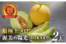 極上メロン 渥美の陽光-HIKARI-　2玉　めろん 果物 フルーツ 産地直送 愛知県 田原市