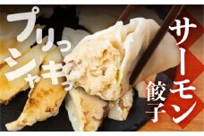 【先行予約】あつみのサーモン餃子 2袋 ご当地 送料無料 ラスサーモン サーモン 餃子 渥美半島 田原市 愛知県 渥美フーズ おかず 惣菜 おつまみ 国産 小分け