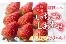 ≪先行予約≫【愛知県・田原産】ブランドいちご「いちごのしあわせ」4パック（約260g×4P）3月中お届け／ 苺 イチゴ フルーツ 果物 農薬節減 愛知県 特産品 産地直送 田原市 渥美半島