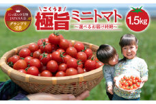グランプリ受賞 完熟 出汁推し実 ミニトマト 1.5kg 