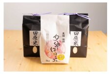 渥美半島米セット 6kg セット 食べ比べ 田原米2㎏×2袋 女神のほほえみ2㎏×1袋 希少米 米問屋直送