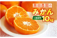 先行予約 渥美半島 伊良湖みかん 10kg　(箱重量を含む)　 ご自宅用 訳あり  みかん　果物