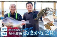 渥美魚市場の旬の鮮魚　おまかせ2種セット 下処理済み 魚セット 愛知県 田原市 