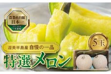 先行予約 特選メロン 5玉 マスクメロン (1玉 1.8kg前後) 渥美半島産 マルタケ農園 メロン めろん 箱詰め フルーツ 果物 愛知県 田原市 産地直送 夏 34000円 3万4千円