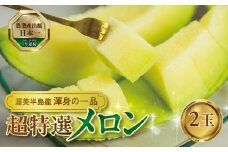 先行予約 超特選メロン 2玉 マスクメロン (1玉 2.1kg前後) 渥美半島産 マルタケ農園 メロン めろん 箱詰め フルーツ 果物 愛知県 田原市 産地直送 夏 19000円 1万9千円