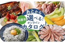 ＼50品から選べる／ 田原市　あとから選べる！オンラインカタログ 地鶏 名古屋コーチン 牛肉 肉 国産牛 田原ポーク 豚肉 いちご メロン 選べる しらす うなぎ カタログ 定期便 特産品 グルメ 田原市