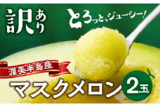 訳あり 先行予約 渥美半島産 マルカ農園のマスクメロン 2玉 (1玉1.3kg以上) ご自宅用 めろん 箱詰め フルーツ 果物 田原市 産地直送 夏