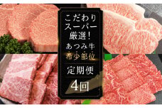 こだわりスーパー厳選!あつみ牛希少部位定期便 4回お届け あつみ牛 牛 牛肉 シャトーブリアン ロース カルビ サーロイン 赤身 焼肉 ステーキ 定期便 肉 サーロイン サーロインステーキ ステーキ 田原市 渥美フーズ 愛知県 渥美半島