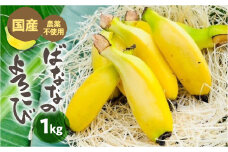 ≪先行予約≫【愛知県・田原産】≪先行予約≫ 愛知県・田原産 ブランドばなな『ばななのよろこび』1kg 