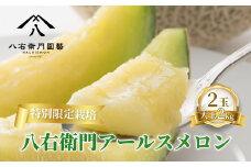  特別限定栽培 八右衛門アールスメロン 大玉2kg 2玉 （マスクメロン） 先行予約 メロン めろん 箱詰め フルーツ 果物 愛知県 田原市 6月 7月