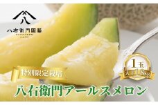  特別限定栽培 八右衛門アールスメロン 大玉1.8kg 1玉 （マスクメロン） 先行予約 メロン めろん 箱詰め フルーツ 果物 愛知県 田原市 6月 7月