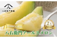  特別限定栽培 八右衛門アールスメロン 大玉1.8kg 2玉 （マスクメロン） 先行予約 メロン めろん 箱詰め フルーツ 果物 愛知県 田原市 6月 7月
