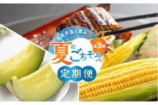渥美半島　夏のごちそう定期便（メロン、とうもろこし、うなぎ）