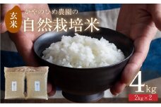 【先行予約】 かやのひめ農園 自然栽培米 【令和7年産】玄米 4kg  (コシヒカリ) 米 自然栽培 自家採種 農薬不使用 愛知県 田原市