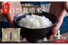 【先行予約】 かやのひめ農園 自然栽培米 【令和7年産】白米 4kg (コシヒカリ) 米 自然栽培 自家採種 農薬不使用 愛知県 田原市