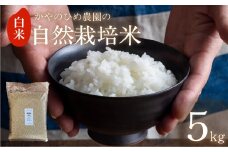 【先行予約】 かやのひめ農園 自然栽培米 【令和7年産】白米 5kg (コシヒカリ) 米 自然栽培 自家採種 農薬不使用 愛知県 田原市