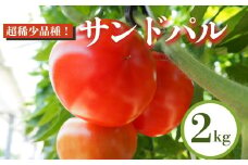 超稀少品種！サンドパル 2kg　とまと トマト 産地直送 愛知県 田原市