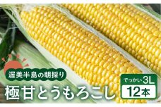 【先行予約】 朝採り極甘 とうもろこし 3Lサイズ 12本 渥美半島産 愛知県田原市 トウモロコシ 産地直送 ビックサイズ