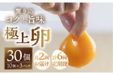 【月2回 隔週お届け定期便 計6回】コク旨 極上卵 30個 割れ保証付き 隔週 定期便 （ たまご 卵 毎月 6回 3ヶ月 3ヵ月 3か月 ランキング ）