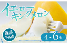 【先行予約】イエローキングメロン 4 ～ 6玉 入り（ 3L ～ L ）メロン イエロー キング メロン フルーツ 果物 愛知県 田原市 渥美半島 お取り寄せ ギフト 贈り物 プレゼント 贈答 贈答用
