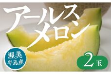 【先行予約】アールスメロン 2玉 入りメロン アールスメロン フルーツ 果物 愛知県 田原市 渥美半島 お取り寄せ ギフト 贈り物 プレゼント 贈答 贈答用