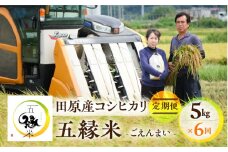 五縁米5 kg　定期便6回　お米 こしひかり ごはん 白米 コシヒカリ 愛知県 田原市 産地直送