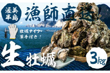 【先行予約】殻付き 生牡蠣 3kg 加熱用 軍手・牡蠣ナイフ付 牡蠣 カキ かき 生 殻付牡蠣 フライ 鍋 バーベキュー BBQ 海鮮 魚介 魚貝 貝 魚介類 新鮮 渥美半島 田原市 愛知県 国産 海産物 オイスター 海の ミルク 軍手 牡蠣 ナイフ 付 冬 ～ 春