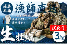 【先行予約】訳あり 殻付き 生牡蠣 3kg 加熱用 軍手・牡蠣ナイフ付 牡蠣 カキ かき 生 殻付牡蠣 フライ 鍋 バーベキュー BBQ 海鮮 魚介 魚貝 貝 魚介類 新鮮 渥美半島 田原市 愛知県 国産 海産物 オイスター 海の ミルク 軍手 牡蠣 ナイフ 付 冬 ～ 春