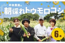 【先行予約】井本農園の朝採れトウモロコシ 6本 とうもろこし デザート 農家直送 送料無料 朝採れ コーン 野菜 キャンプ BBQ バーベキュー おやつ 田原市 渥美半島 愛知県 夏 旬