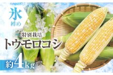 【先行予約】渥美半島産　寺田さんちのとうもろこし　バイカラー 10本～12本 約4kg とうもろこし デザート 農家直送 送料無料 朝採れ コーン 野菜 キャンプ BBQ バーベキュー おやつ 田原市 渥美半島 愛知県 夏 旬