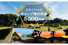 表浜ほうべの森キャンプ場利用券 5000円分 キャンプ場 ほうべの森 キャンプ BBQ 海岸 ピザ づくり 石窯 海 チケット 利用券 愛知県 田原市 渥美半島