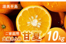 大橋農園の ご家庭用 甘夏 10kg 甘夏 あまなつ 柑橘 柑橘類 フルーツ 果物 旬 訳あり ワケアリ 訳アリ 愛知県 田原市 渥美半島
