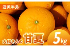 大橋農園の 甘夏 5kg 甘夏 あまなつ 柑橘 柑橘類 フルーツ 果物 旬 オレンジ みかん マーマレード マーマレードジャム ゼリー に 愛知県 田原市 渥美半島