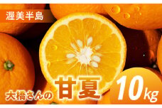 大橋農園の 甘夏 10kg 甘夏 あまなつ 柑橘 柑橘類 フルーツ 果物 旬 マーマレード マーマレードジャム ゼリー に 愛知県 田原市 渥美半島