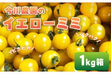 【ふるさと納税】【先行予約】今川農園のミニトマト イエローミミ 1kg 先行予約受付 期間限定 季節限定 野菜 国産 完熟 やさい フルーツ トマト 完熟 千果 ミニトマト イエロー プチトマト イエロートマト プチ お弁当 贈り物 おやつ サラダ 送料無料 産地直送