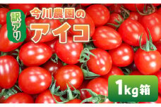 【ふるさと納税】【先行予約】今川農園のミニトマト 訳ありアイコ 1kg 先行予約受付 期間限定 季節限定 野菜 国産 完熟 やさい フルーツ トマト 完熟 千果 ミニトマト イエロー プチトマト イエロートマト プチ お弁当 贈り物 おやつ サラダ 送料無料 産地直送