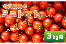 【ふるさと納税】【先行予約】今川農園のミニトマト 3kg 先行予約受付 期間限定 季節限定 野菜 国産 完熟 やさい フルーツ トマト 完熟 千果 ミニトマト プチ お弁当 贈り物 おやつ サラダ 送料無料 産地直送